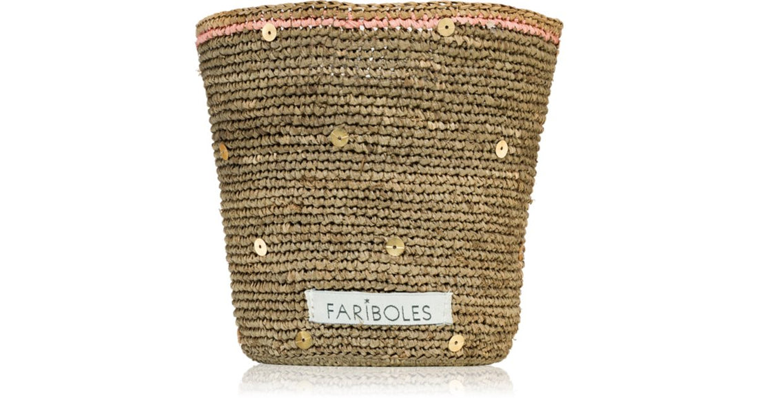 FARIBOLES Collaboration