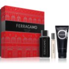 Ferragamo Sublime Leather 100 ml — Pánská toaletní voda