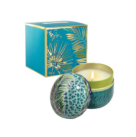 Fragonard Coriandre Citronella candle 200 gr