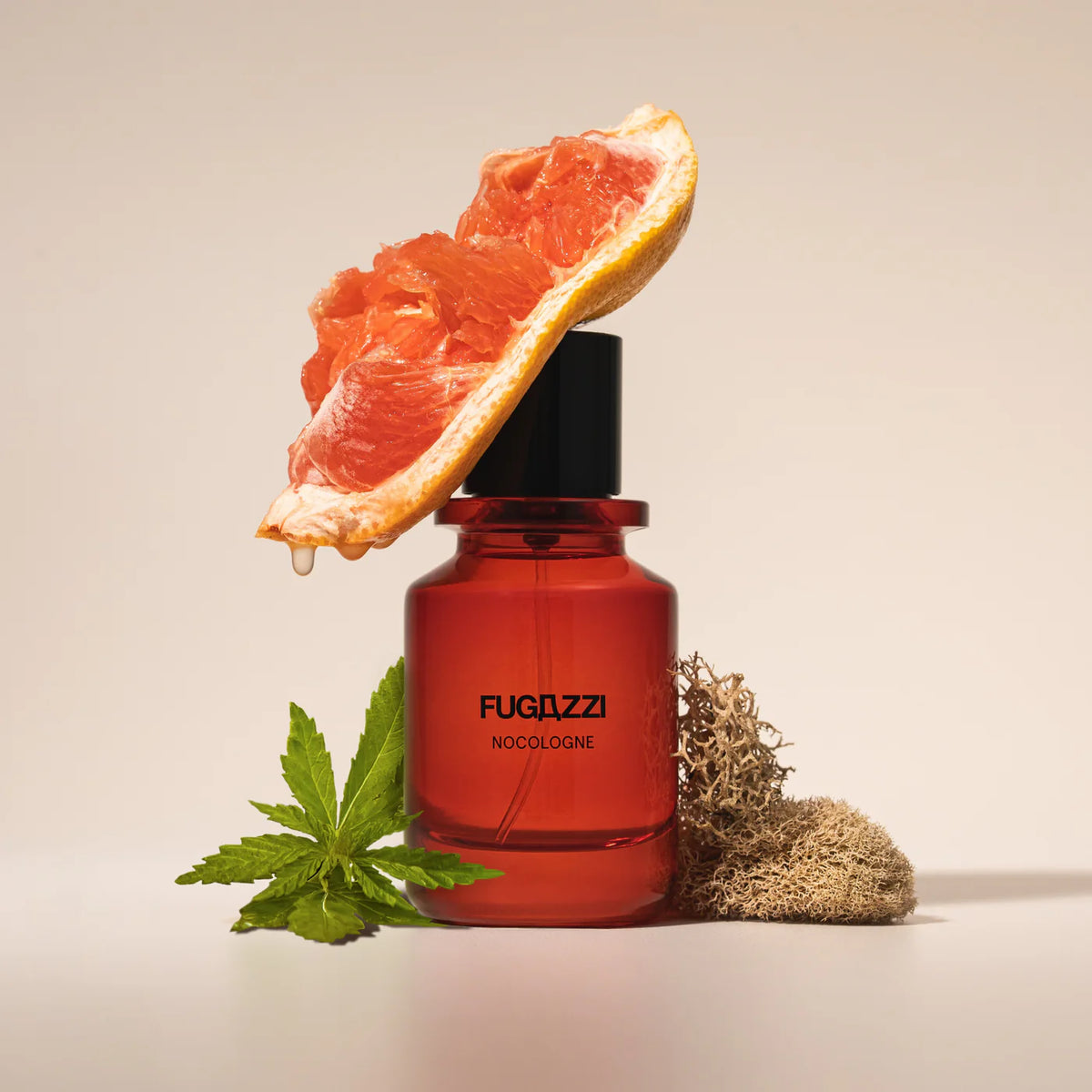 Fugazzi Nocologne 50 ml Unisex Extrait de Parfum