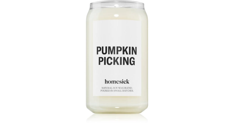 homesick picking zucca 390 g candela profumata