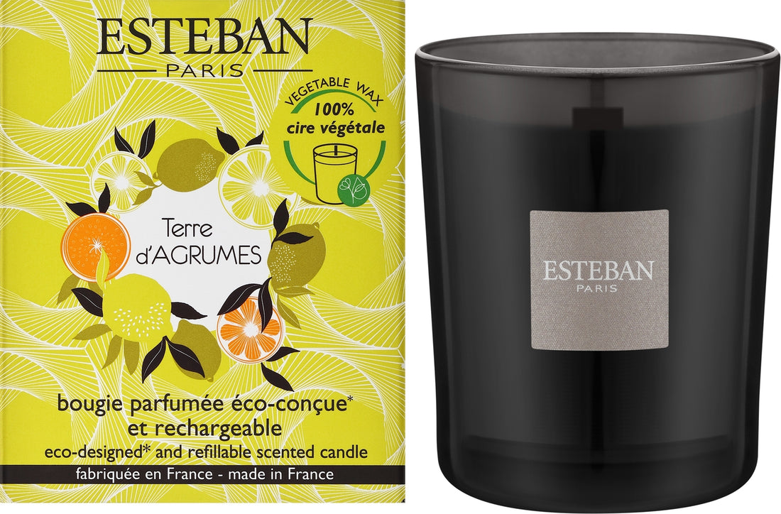 Esteban Terre D&