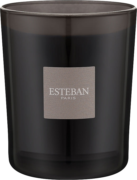 Esteban Ambre Candela profumata 450 g