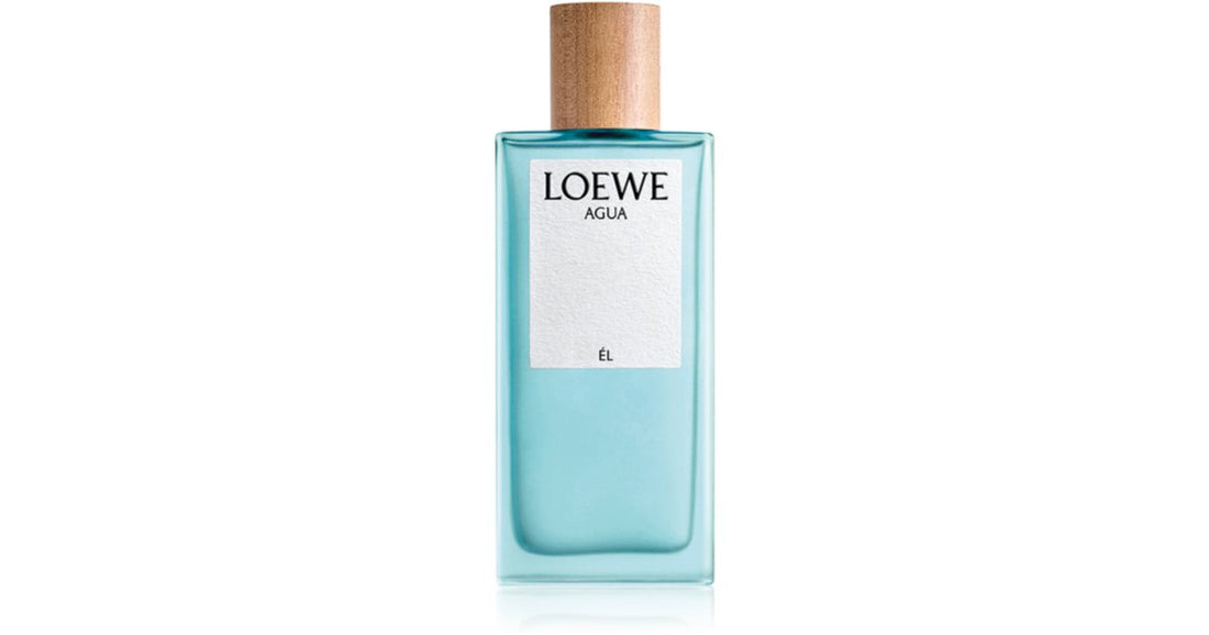 Loewe Agua Él Eau de Toilette för män 100 ml