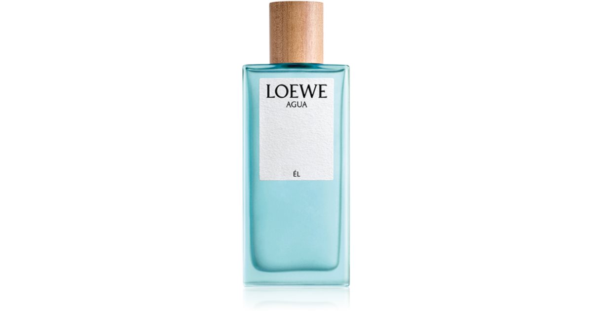 Loewe Agua Él Eau de Toilette miehille 100 ml