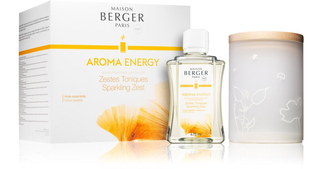 Maison Berger Paris Brume Diffuseur Aroma Energy 1 pièce