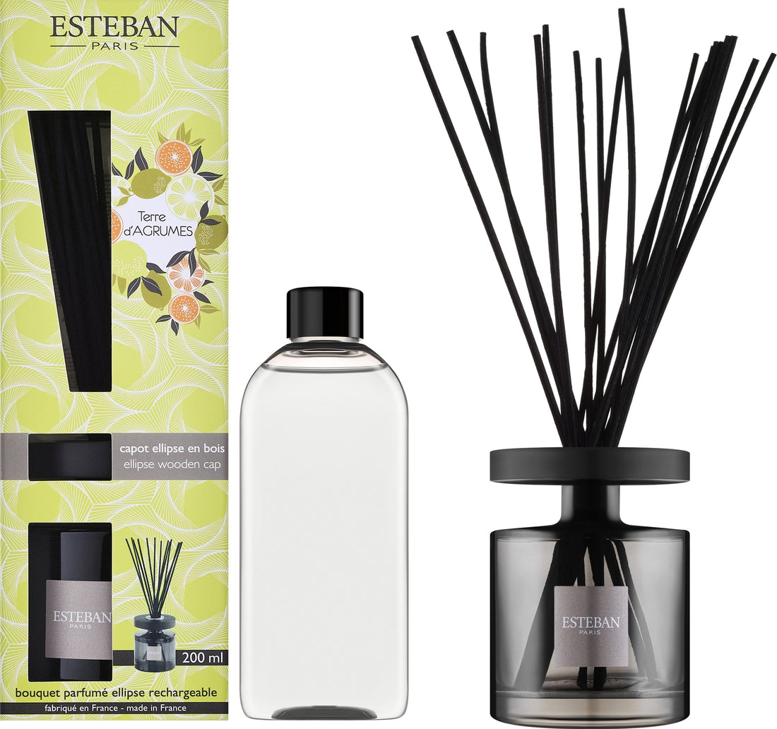 Esteban Terre D&