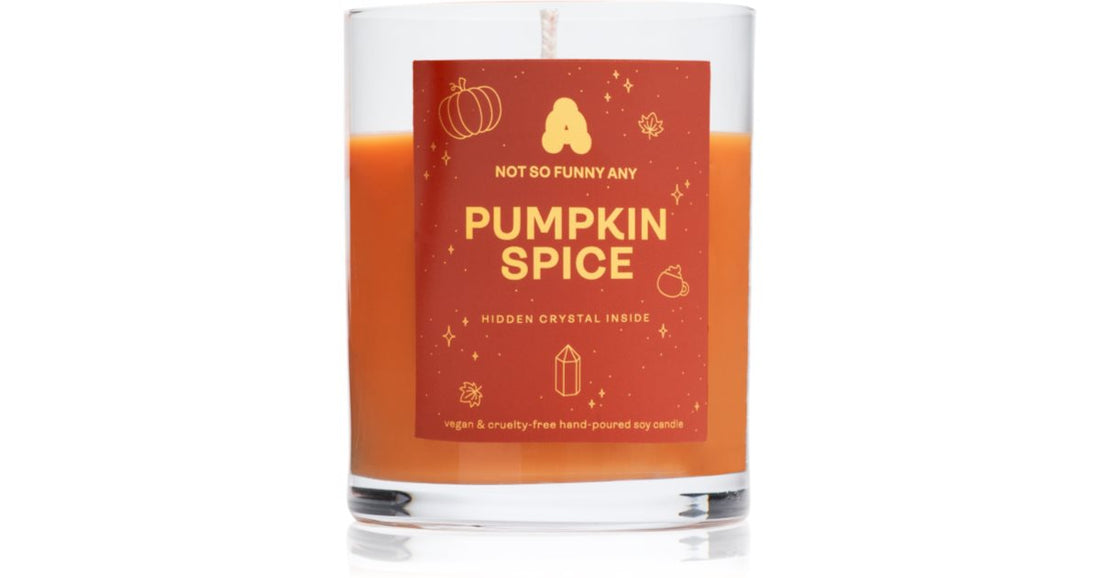 Not So Funny Any Crystal Pumpkin Spice Candle 220 g