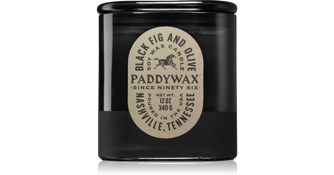 Paddywax شمعة فيستا بالتين الأسود والزيتون 340 جرام