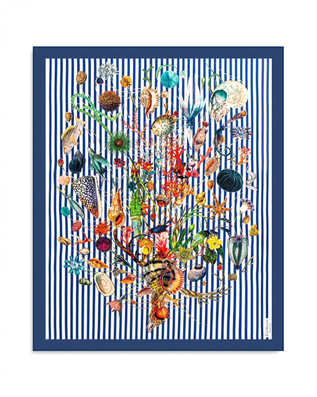 Carthusia قماش A&