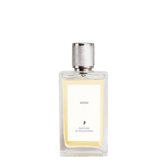 Parfums de Polignano Wow Eau de Parfum 100 ml