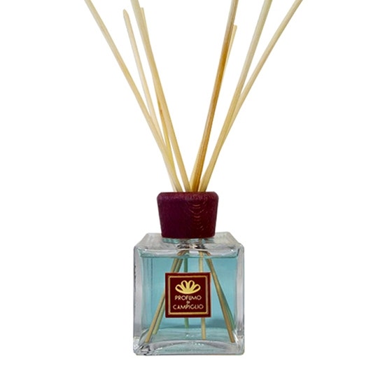 Campiglio Perfume Notes of the Woods Diffuser 500 ml refill