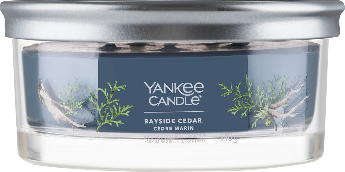 Candela profumata "Cedar", 5 stoppini Yankee Candle Bayside Cedar Tumbler 340.19 g