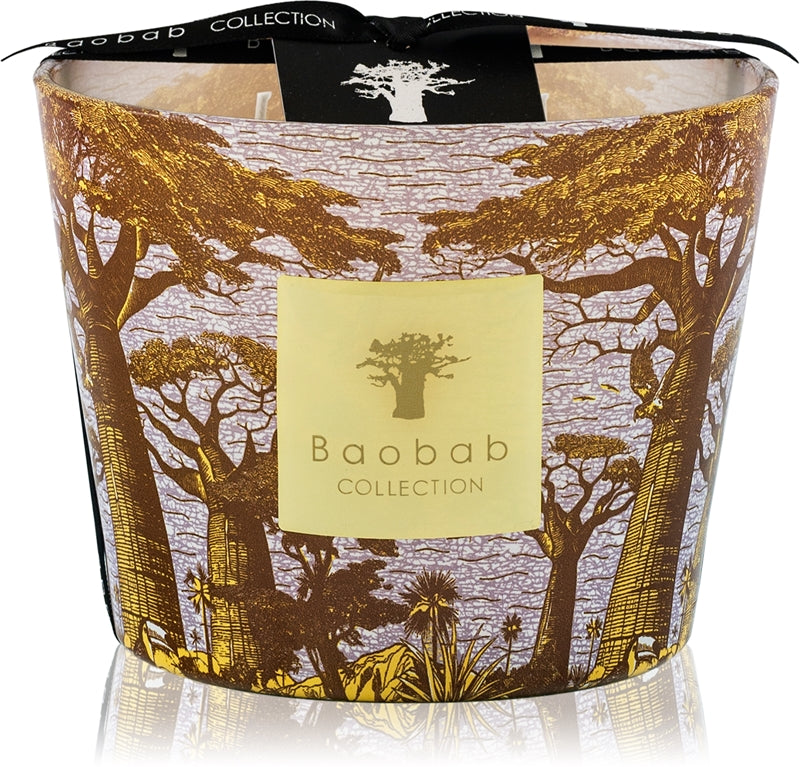 Baobab Collection Sacred Trees Cocody duftlys 10 cm 