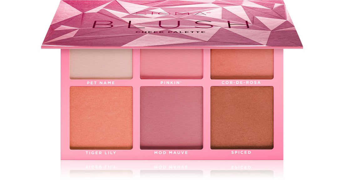 Sigma Beauty Paleta de Rubor para Mejillas 27,48 g