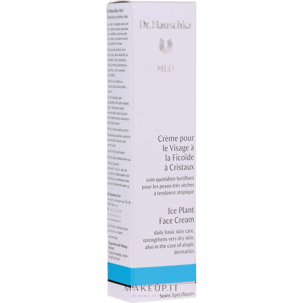 Dr Hauschka Crema Giorno Erba Cristallina 40 ml — Kasvovoide