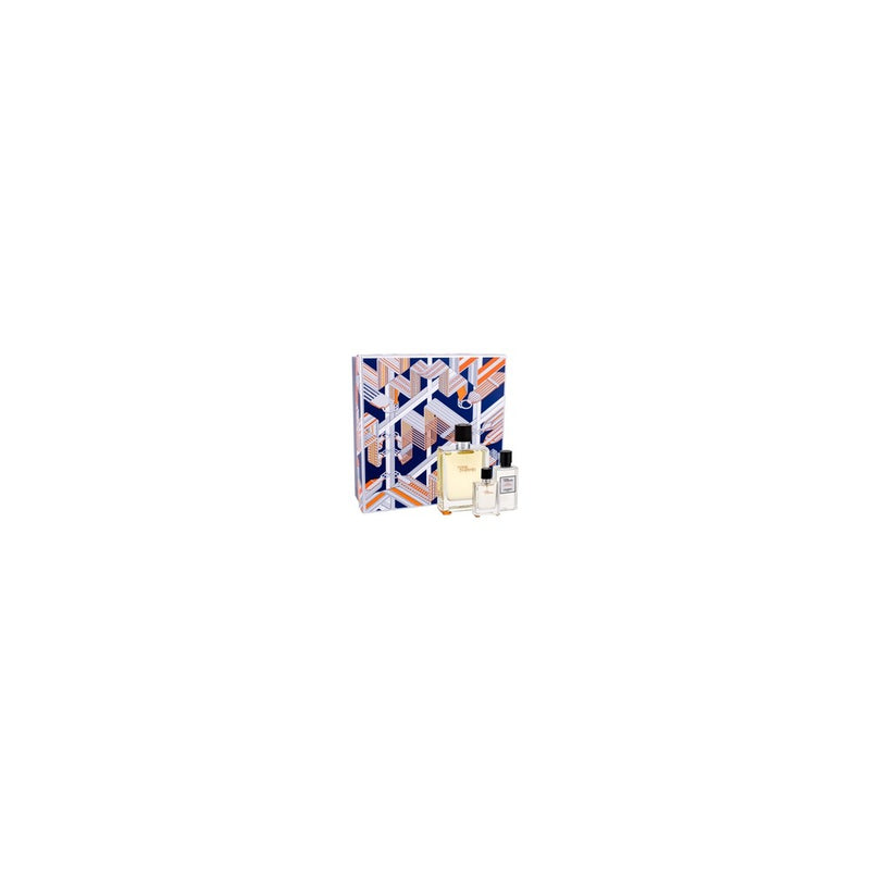 Hermes Conjunto de presente Terre D'Hermes eau de toilette 100 ml, aftershave e miniatura Terre D'Hermes 