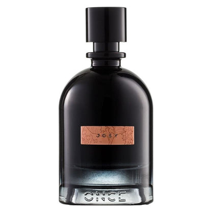 Once Parfum Josy Eau De Parfum Intenso Spray 100 ml 