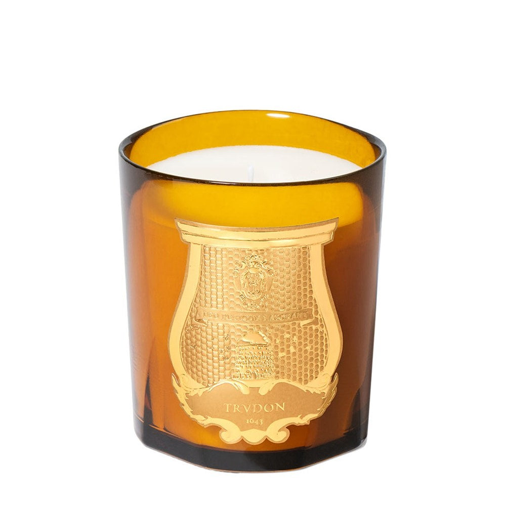 Trudon Altair 270 g lys 