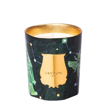 Trudon Candela natalizia in abete — Doftljus
