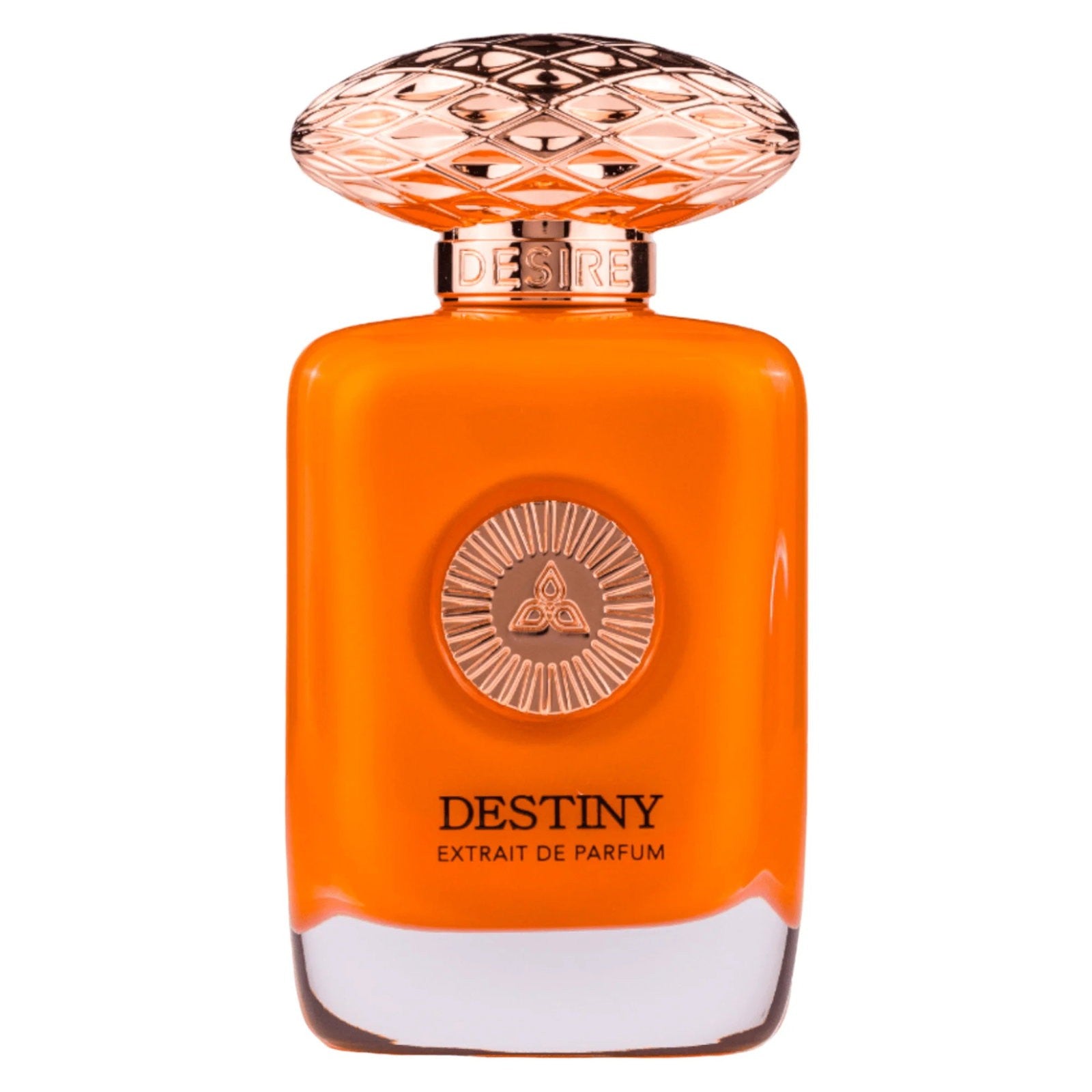 Auraa desire Destiny Parfum Extrait Voor Heren 100 ml 
