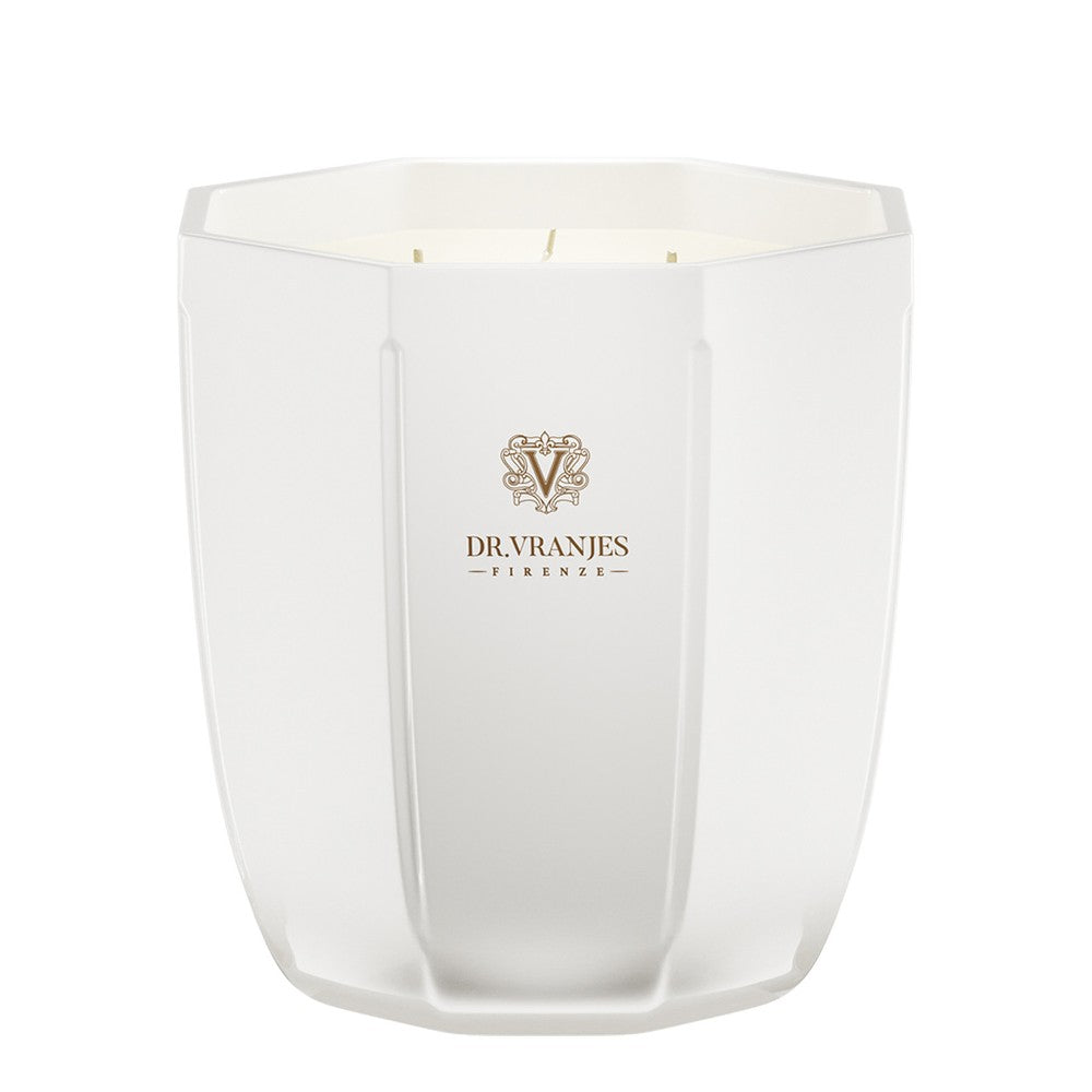 Dr. Vranjes Firenze Zenzero e Lime 500 g — Candela Profumata