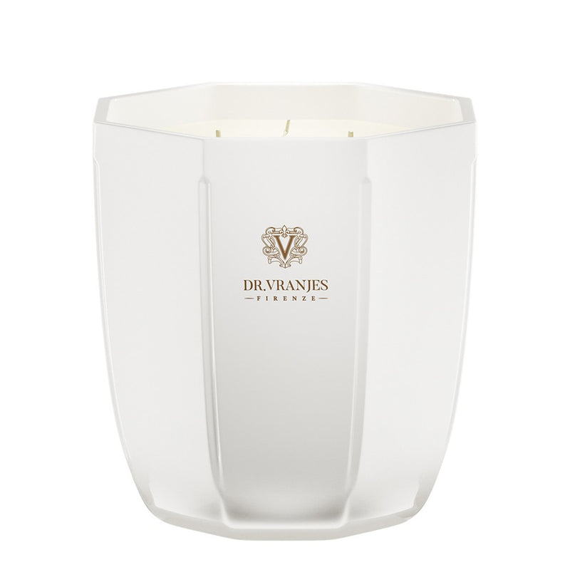 Dr. Vranjes Firenze Zenzero e Lime 500 g — Candela Profumata