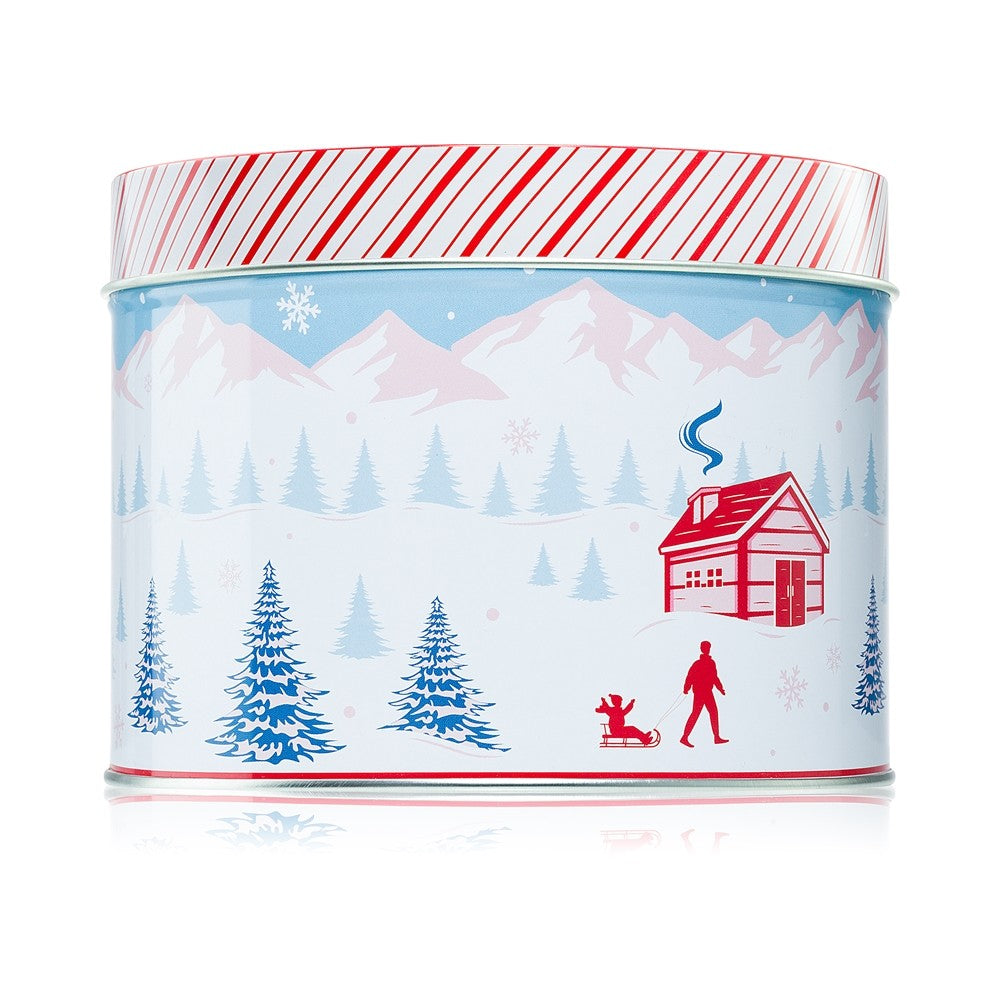DW Home Scene &amp; Stripes Peppermint Bark bougie parfumée 833 g 