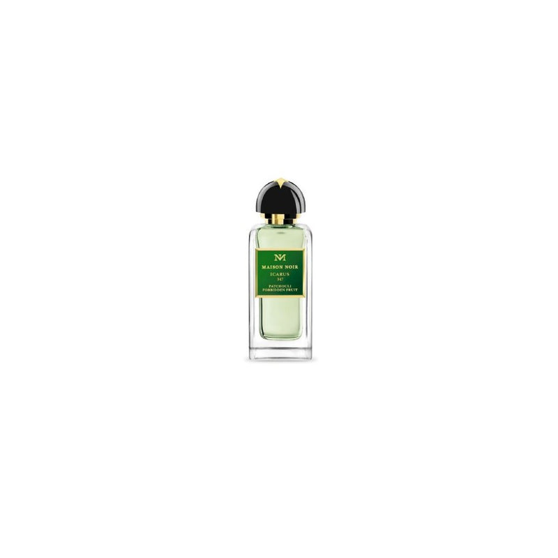 Maison Noir Icarus 347 EDP 100 ml 