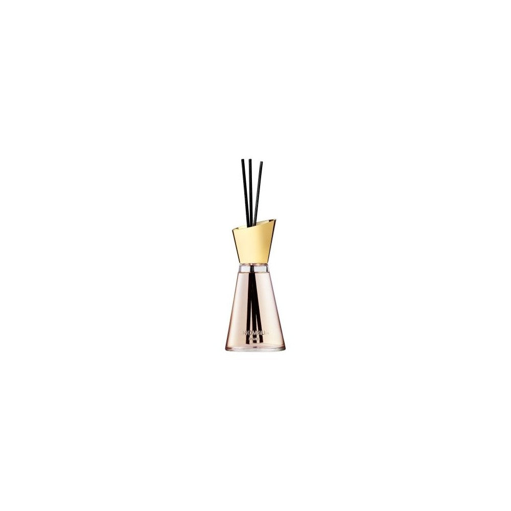 Anomalia Læder Bookbiding Room Diffuser 200ml
