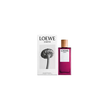 Loewe Terre Ep 100 Vap