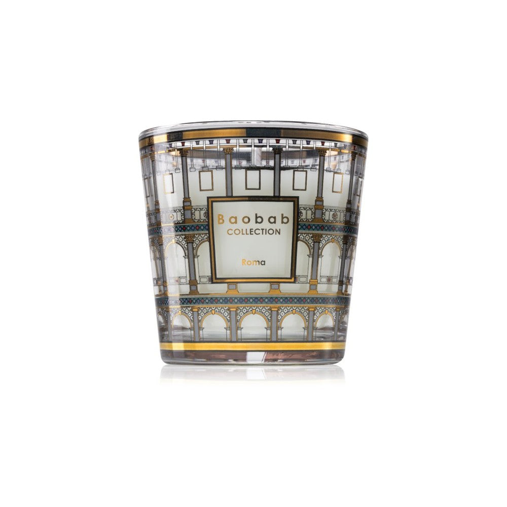 Baobab Collection Мой первый баобаб Рим 8 см