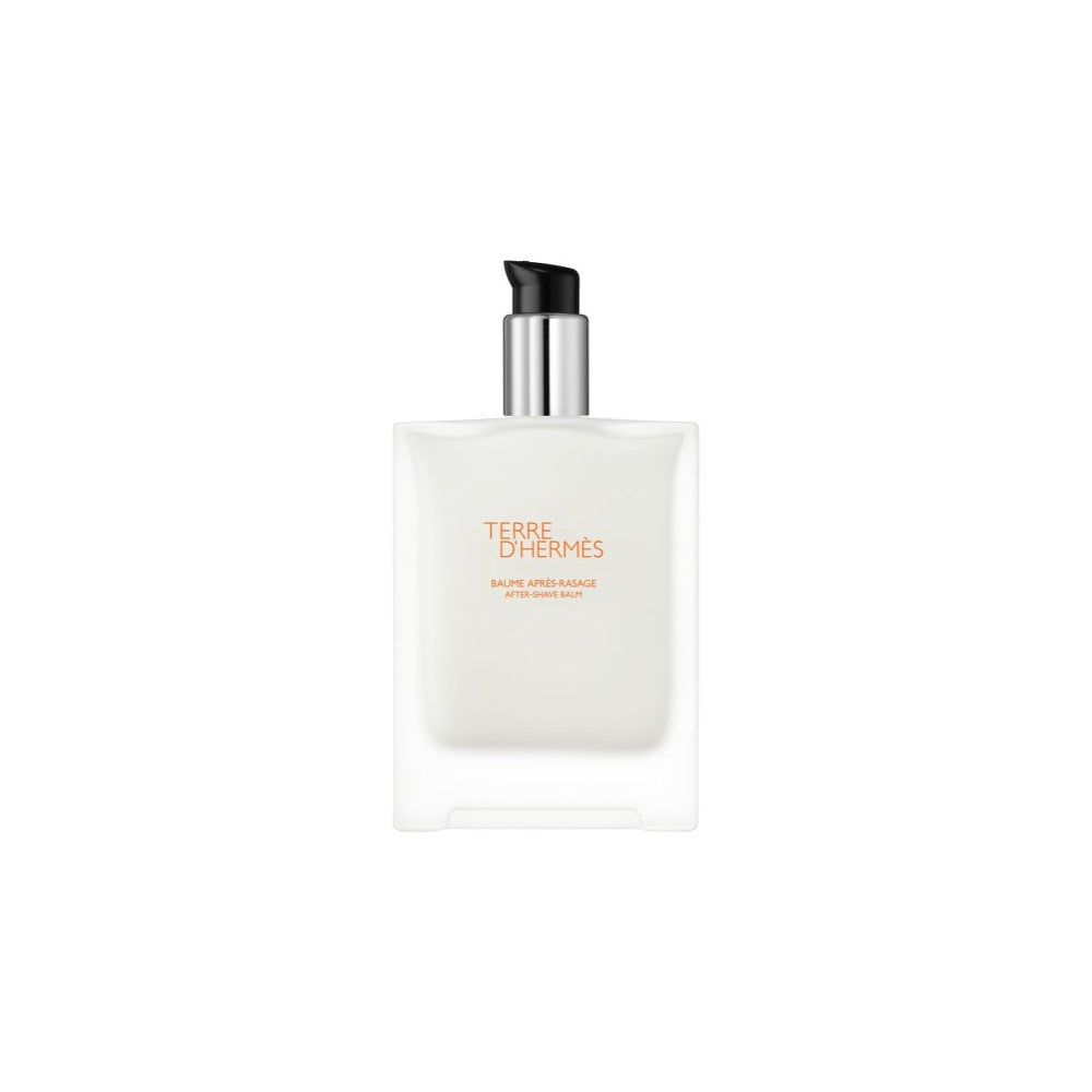 Hermès Terre d&