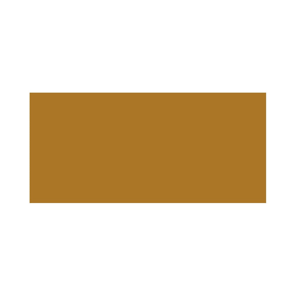 Bobbi brown Intensiv foundation Serum SPF 40 - Intensiv make-up och serum 30 ml Golden