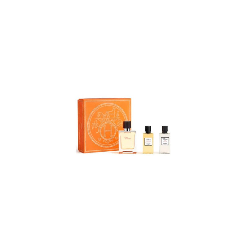 Hermès Terre D'Hermès Eau de Toilette für Herren 50 ml — Eau de Toilette 