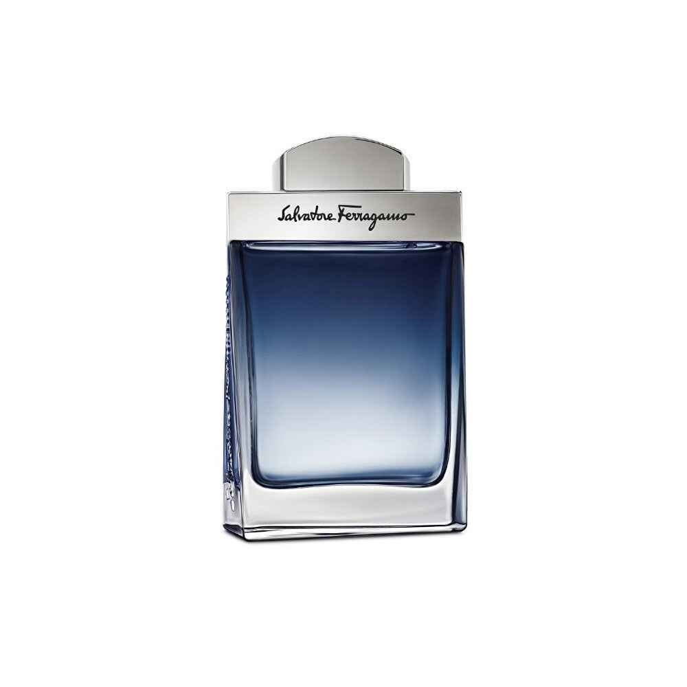 Ferragamo Subtil Eau de Toilette voor mannen 50 ml