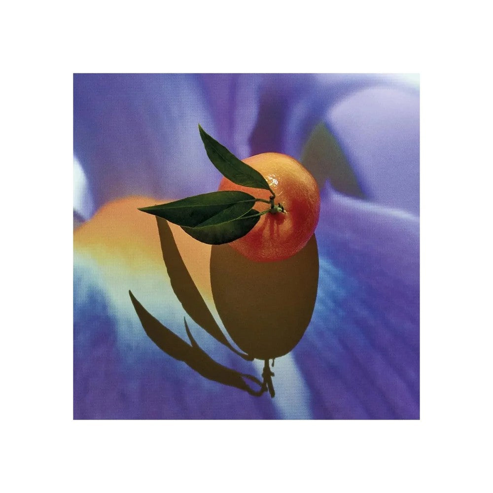 Loewe Solo Elixir 50 ml — Eau de Parfum Uomo