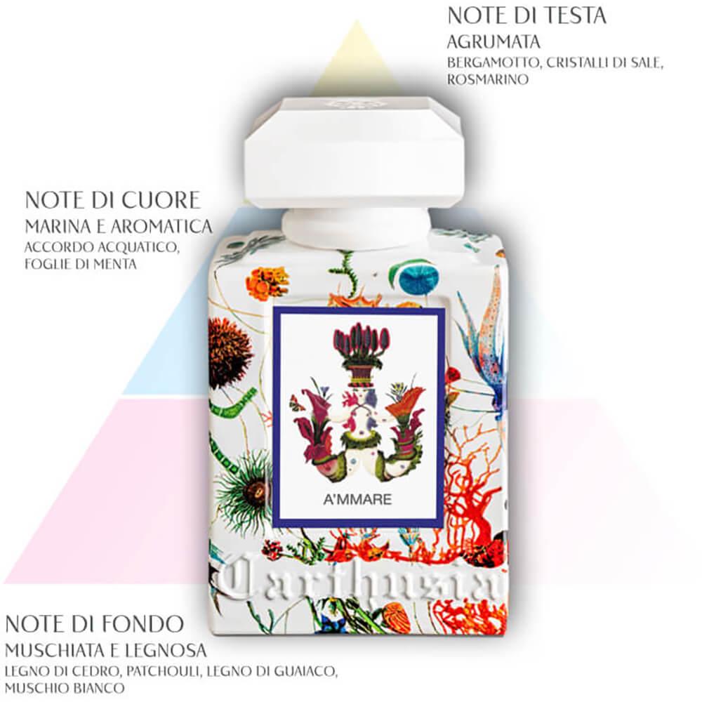 Carthusia Domus A Mmare Diffusore per Ambiente Aromatico 680 ml — Diffusore
