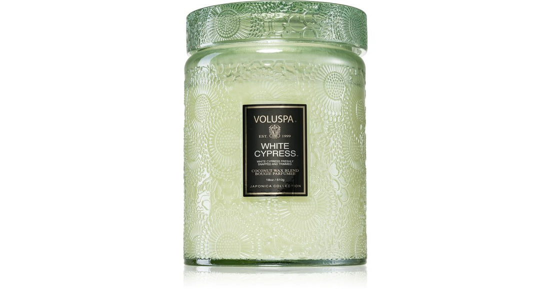 VOLUSPA Bougie Japonica Holiday Cyprès Blanc 510 g